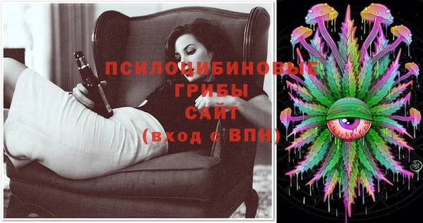 MESCALINE Аркадак