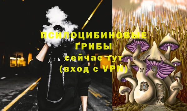 дурь Алзамай
