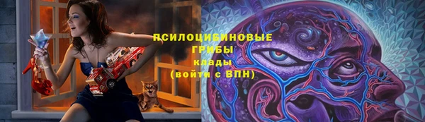меф Арсеньев