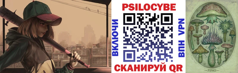 Галлюциногенные грибы Psilocybine cubensis  Сальск 