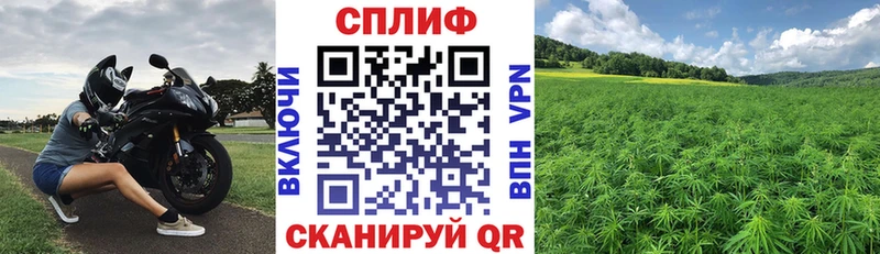 ОМГ ОМГ вход  Сальск  Шишки марихуана SATIVA & INDICA 